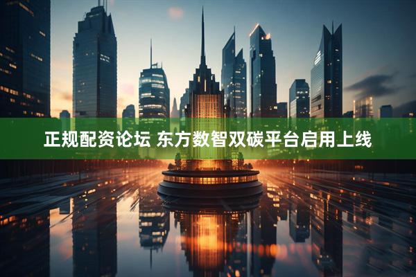 正规配资论坛 东方数智双碳平台启用上线